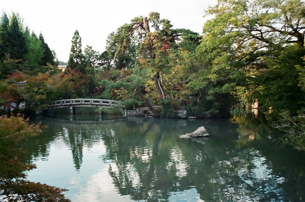 A garden bridge surrounded by trees