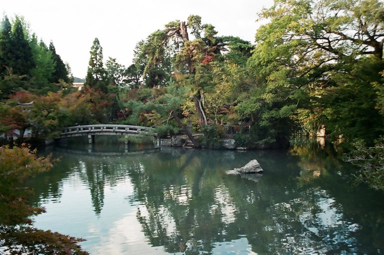 A garden bridge surrounded by trees